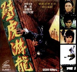 壁虎游龙封面图