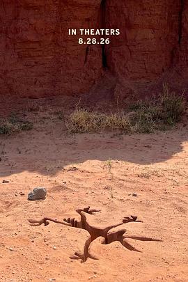 歪心狼对阵ACME封面图