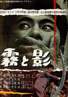 雾中人影封面图