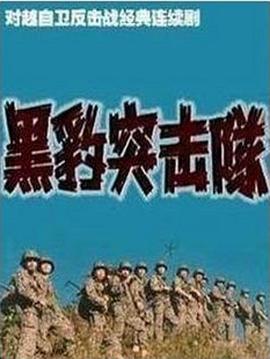 黑豹突击队封面图