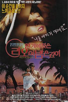 里约热内卢的雾夜很深封面图