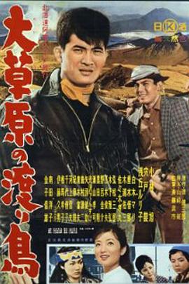 大草原渡鸟封面图