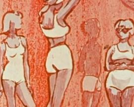 科学屋：假象博物馆封面图