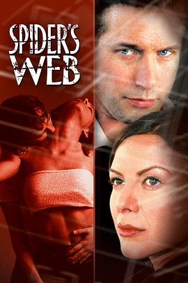 蜘蛛网封面图