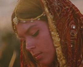 舞伶密史封面图