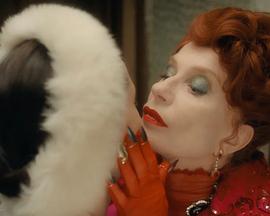 血腥女伯爵封面图