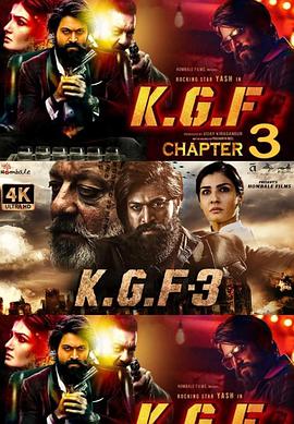 科拉尔金矿3封面图