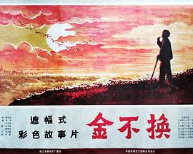 金不换封面图