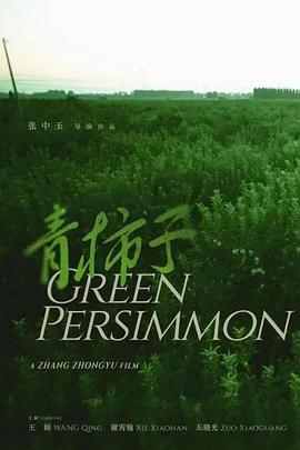 青柿子封面图