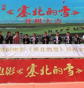 塞北的雪封面图