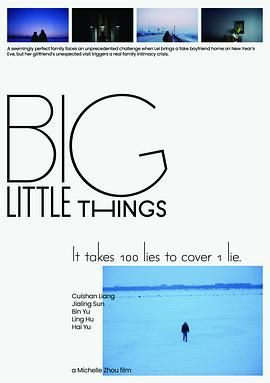 谎言生活封面图