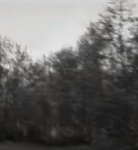 Tom Waits: It&#39;s All Right with Me封面图