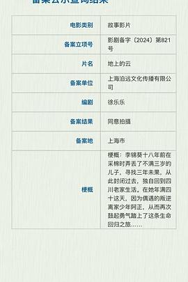 地上的云封面图