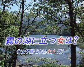 牟田刑事官事件档案29封面图