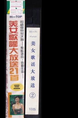 暂时倩影封面图