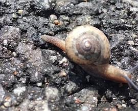 Hong Sangsoo – Winner of the Silver Bear for Best Screenplay封面图