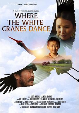 白鹤起舞之地封面图