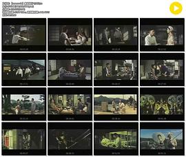 集金旅行封面图