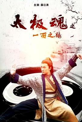 太极魂之一面之缘封面图
