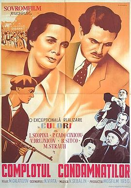 阴谋注定封面图