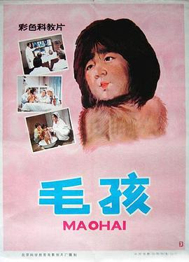 毛孩封面图