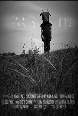 帕妮的盒子封面图