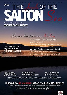 索尔顿海的珠宝封面图