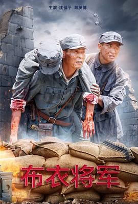 布衣将军封面图